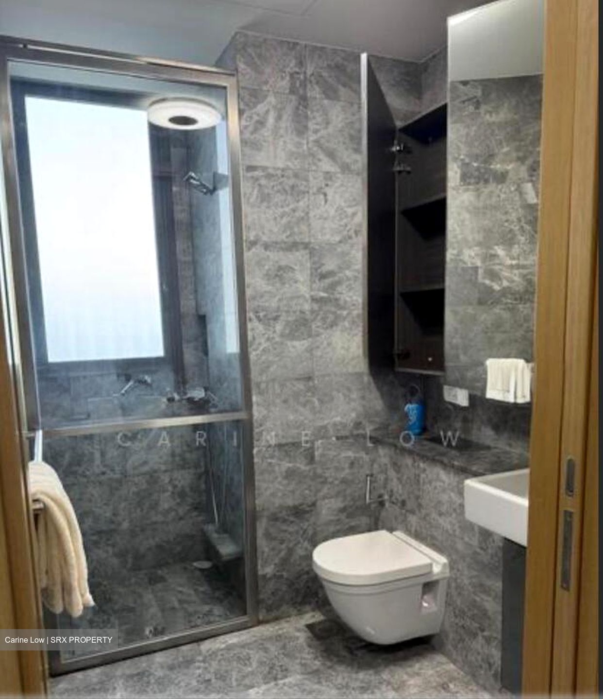 Skyline Residences (D4), Condominium #509663251